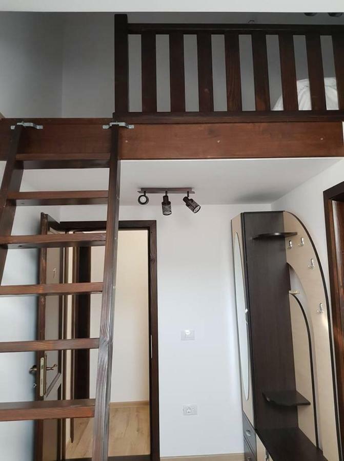 Pensiunea Casa Rumpel 古拉哈莫卢洛伊 外观 照片